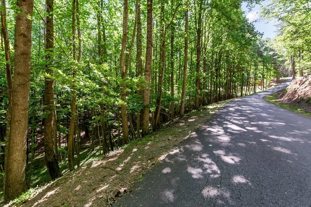 other for sale at Lot 26 Estates Drive, Ellijay, GA 30536 — photo 7