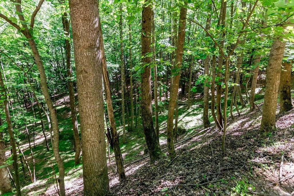 other for sale at Lot 26 Estates Drive, Ellijay, GA 30536 — photo 9