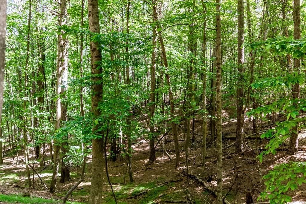 other for sale at Lot 26 Estates Drive, Ellijay, GA 30536 — photo 10