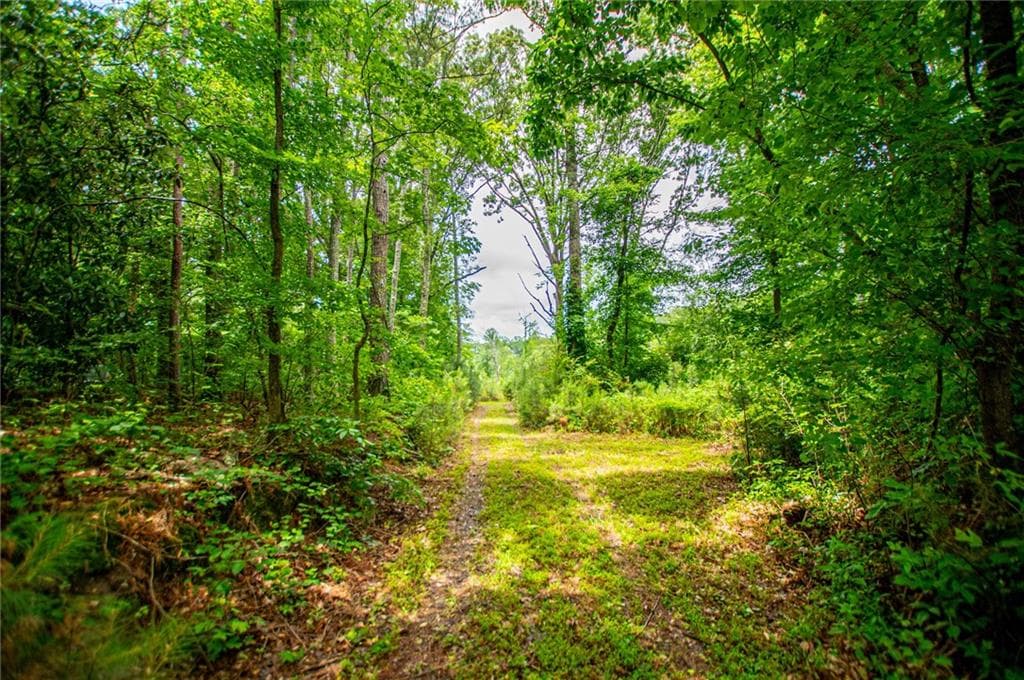 other under contract at 0 Lindsey Lake Road, Dallas, GA 30157 — photo 6