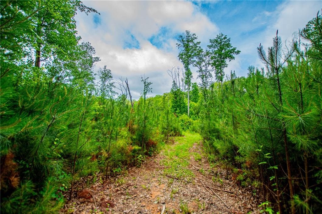 other under contract at 0 Lindsey Lake Road, Dallas, GA 30157 — photo 7