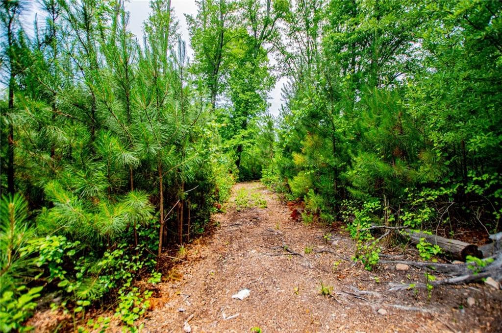 other under contract at 0 Lindsey Lake Road, Dallas, GA 30157 — photo 9