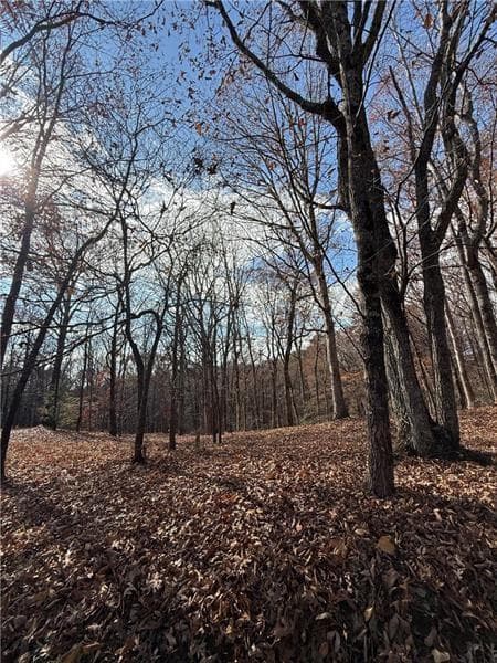 unimproved land for sale at 0 Orchard Road, Jasper, GA 30143 — photo 1 of 20