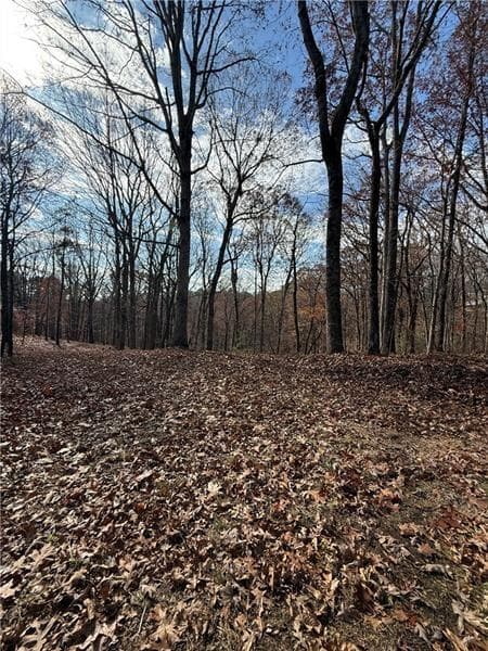 unimproved land for sale at 0 Orchard Road, Jasper, GA 30143 — photo 3