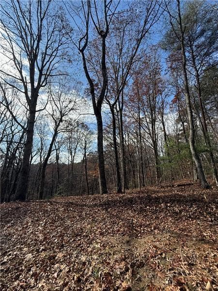 unimproved land for sale at 0 Orchard Road, Jasper, GA 30143 — photo 4