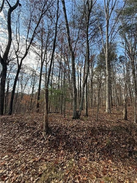 unimproved land for sale at 0 Orchard Road, Jasper, GA 30143 — photo 5