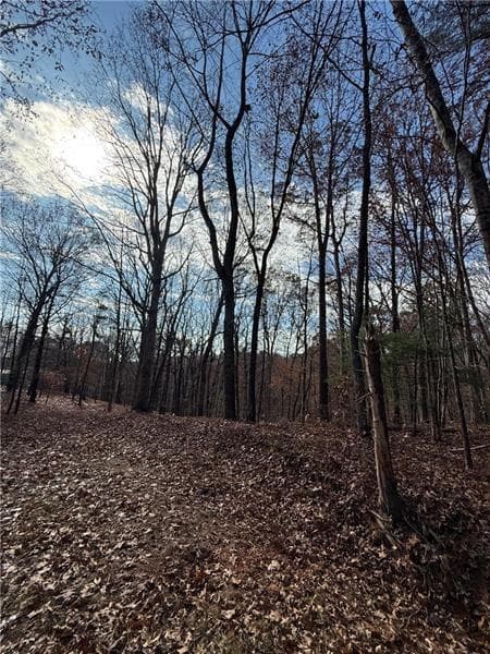 unimproved land for sale at 0 Orchard Road, Jasper, GA 30143 — photo 6