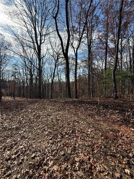 unimproved land for sale at 0 Orchard Road, Jasper, GA 30143 — photo 7
