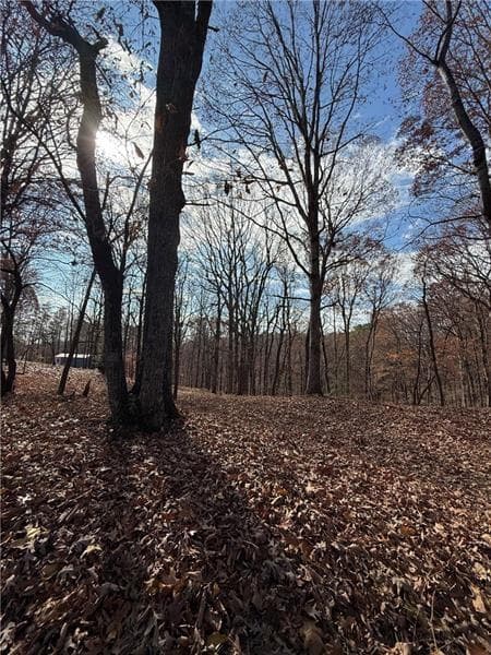 unimproved land for sale at 0 Orchard Road, Jasper, GA 30143 — photo 8