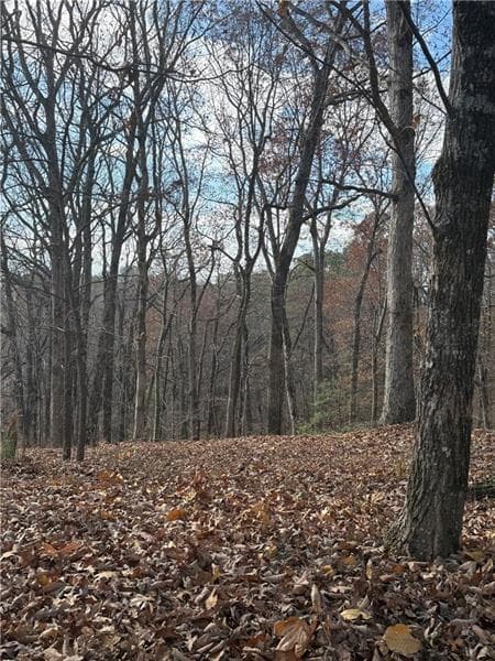 unimproved land for sale at 0 Orchard Road, Jasper, GA 30143 — photo 9