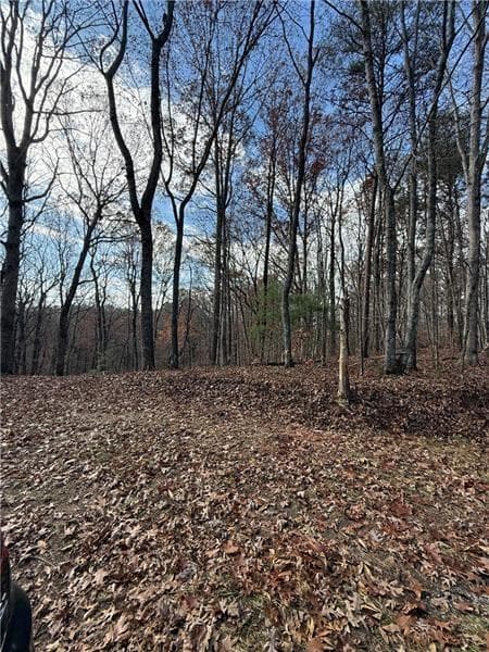 unimproved land for sale at 0 Orchard Road, Jasper, GA 30143 — photo 10