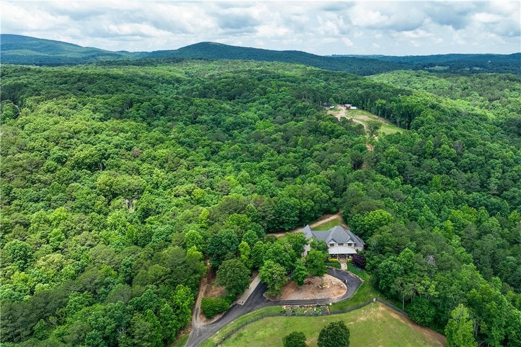 5 bedroom, 4 bathroom, 8,771 sq ft single family residence for sale at 7945 Reinhardt College Parkway, Waleska, GA 30183 — photo 4