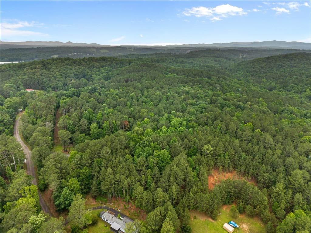 unimproved land for sale at 0 Flatbottom Road, Ball Ground, GA 30107 — photo 8