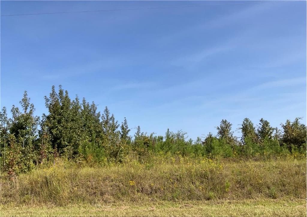 other for sale at 0 Old Balls Ferry Road, Toomsboro, GA 31090 — photo 2