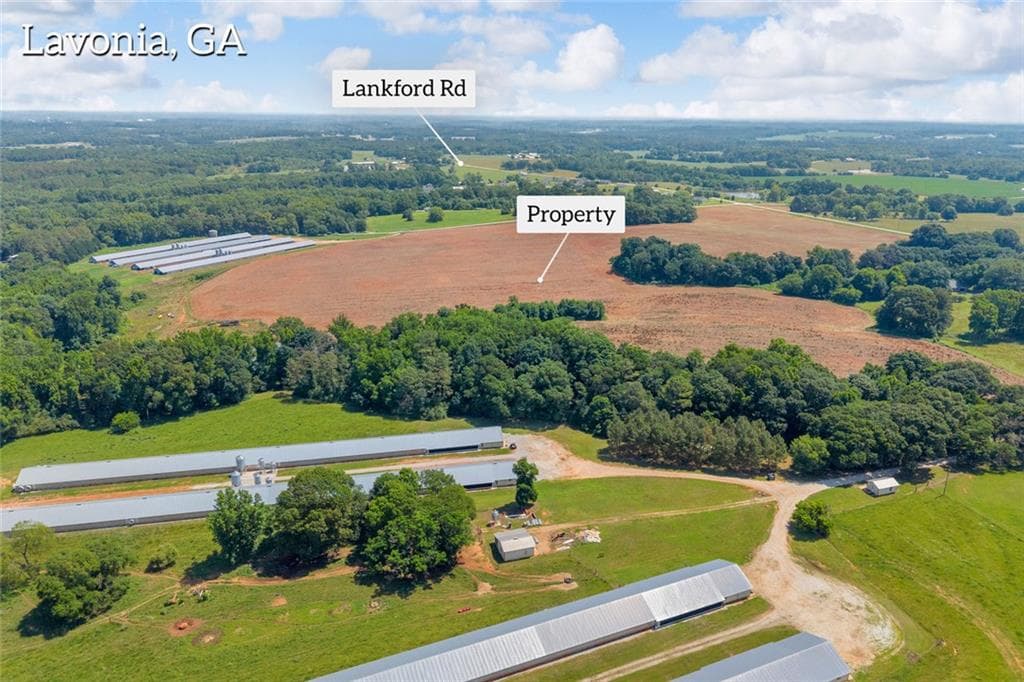 unimproved land for sale at 0 Lankford Road, Lavonia, GA 30553 — photo 7