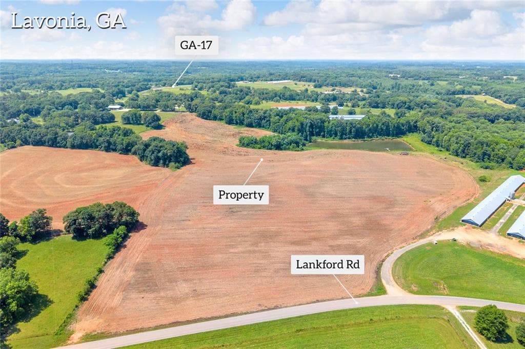 unimproved land for sale at 0 Lankford Road, Lavonia, GA 30553 — photo 9
