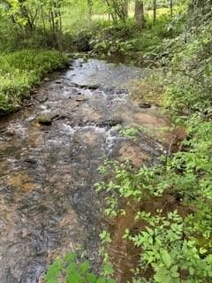 other for sale at 0 S Fern Cove Road, Sautee Nacoochee, GA 30571 — photo 3