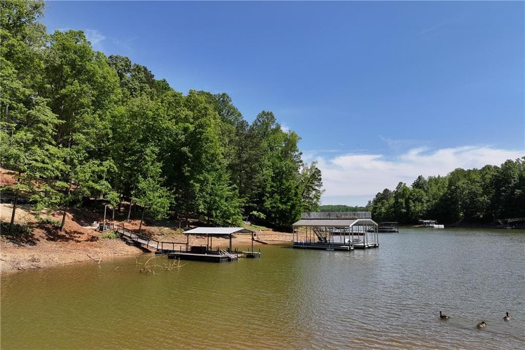 unimproved land for sale at 64 Long Cove Pass, Dawsonville, GA 30534 — photo 8