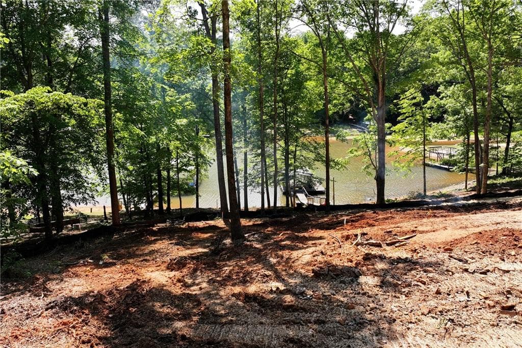 unimproved land for sale at 64 Long Cove Pass, Dawsonville, GA 30534 — photo 4