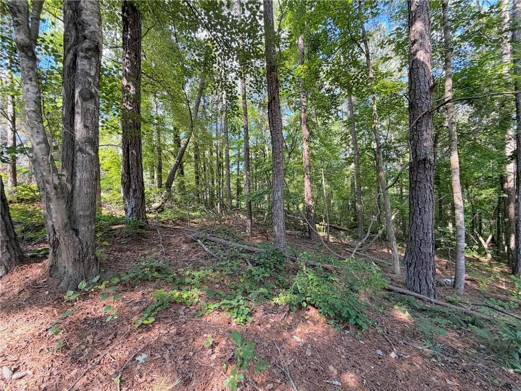 single family residence for sale at 1306 Southgate Drive, Villa Rica, GA 30180