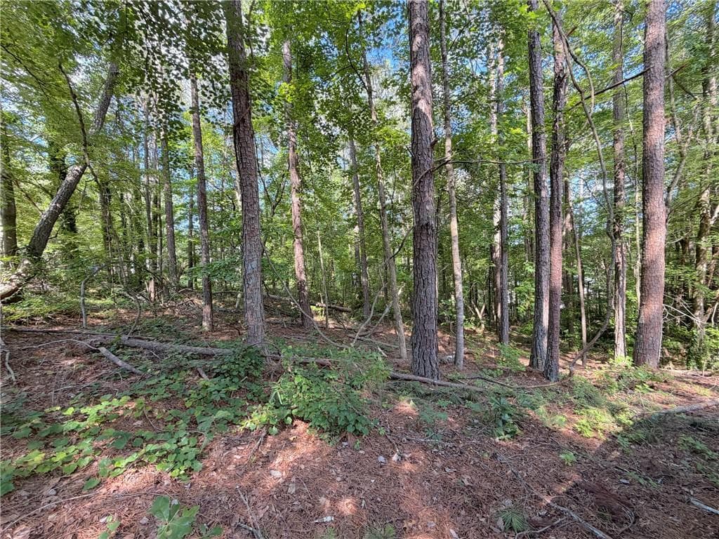 single family residence for sale at 1306 Southgate Drive, Villa Rica, GA 30180 — photo 3