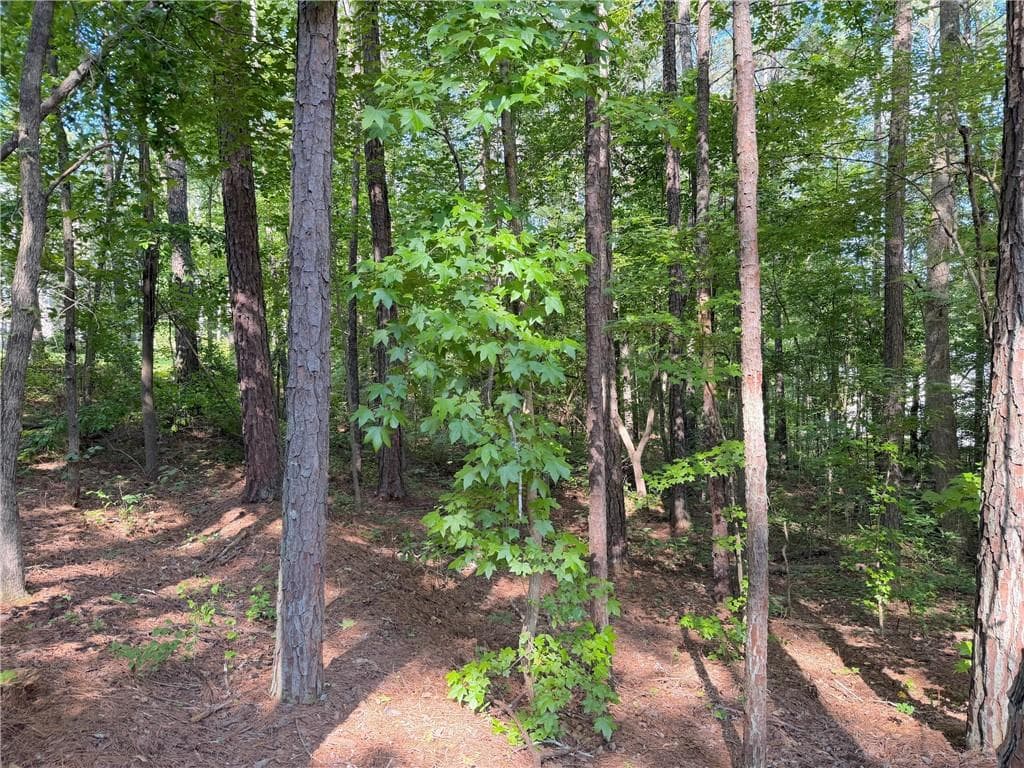 single family residence for sale at 1306 Southgate Drive, Villa Rica, GA 30180 — photo 4