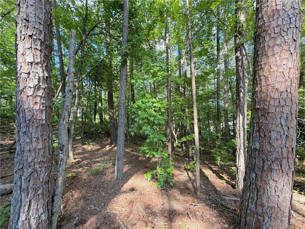 single family residence for sale at 1306 Southgate Drive, Villa Rica, GA 30180 — photo 5