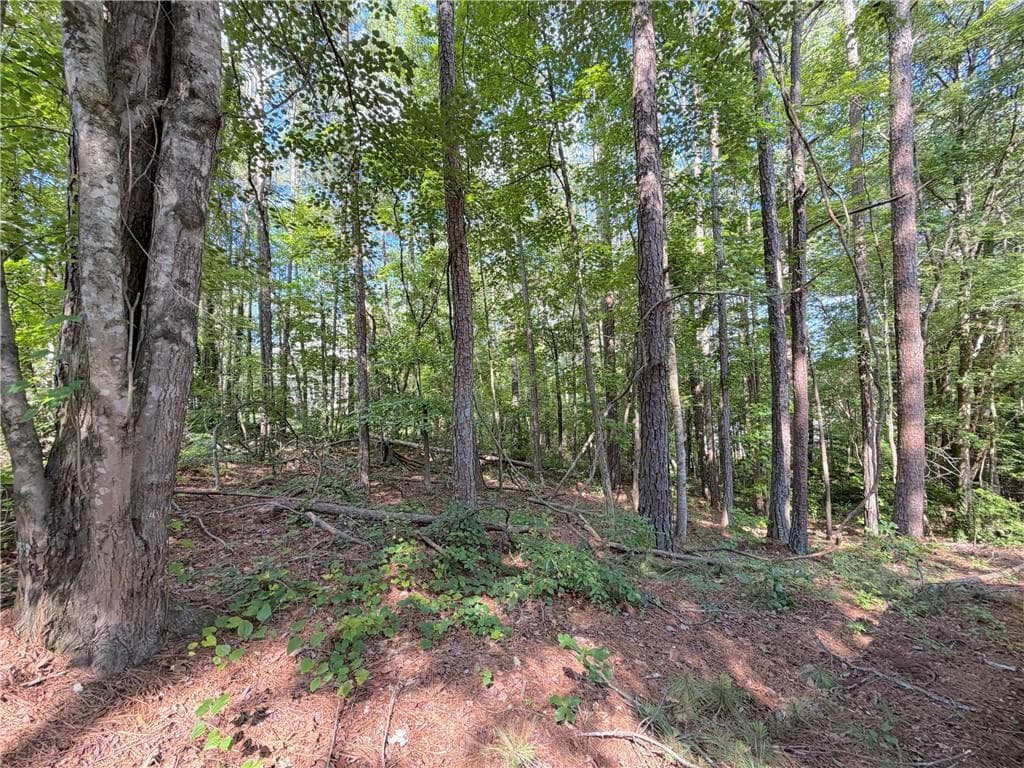 single family residence for sale at 1306 Southgate Drive, Villa Rica, GA 30180 — photo 6