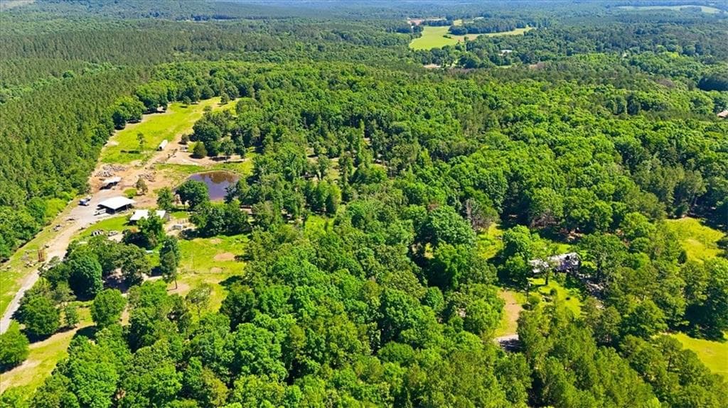unimproved land for sale at 0 Williams Road, Silver Creek, GA 30173 — photo 3