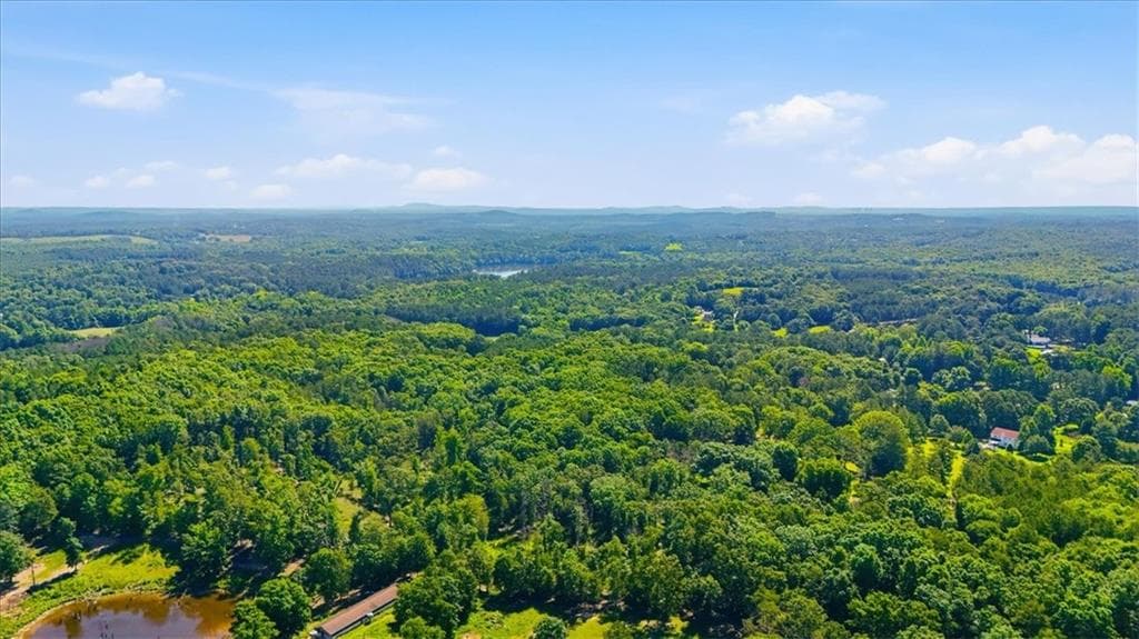unimproved land for sale at 0 Williams Road, Silver Creek, GA 30173 — photo 4