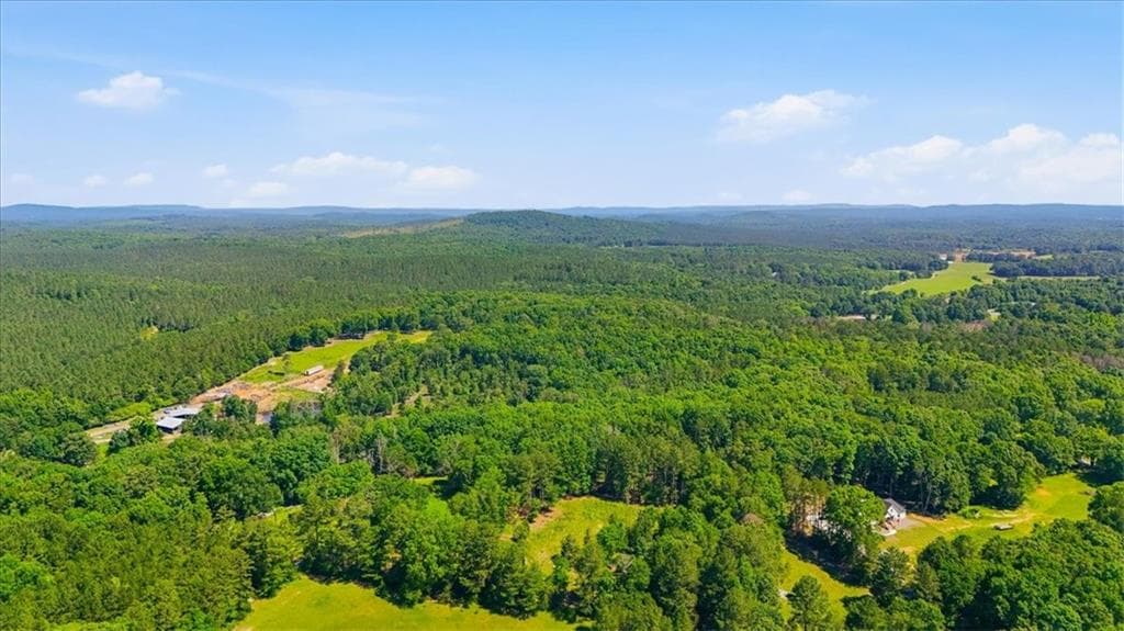 unimproved land for sale at 0 Williams Road, Silver Creek, GA 30173 — photo 5