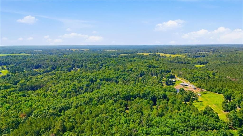 unimproved land for sale at 0 Williams Road, Silver Creek, GA 30173 — photo 6