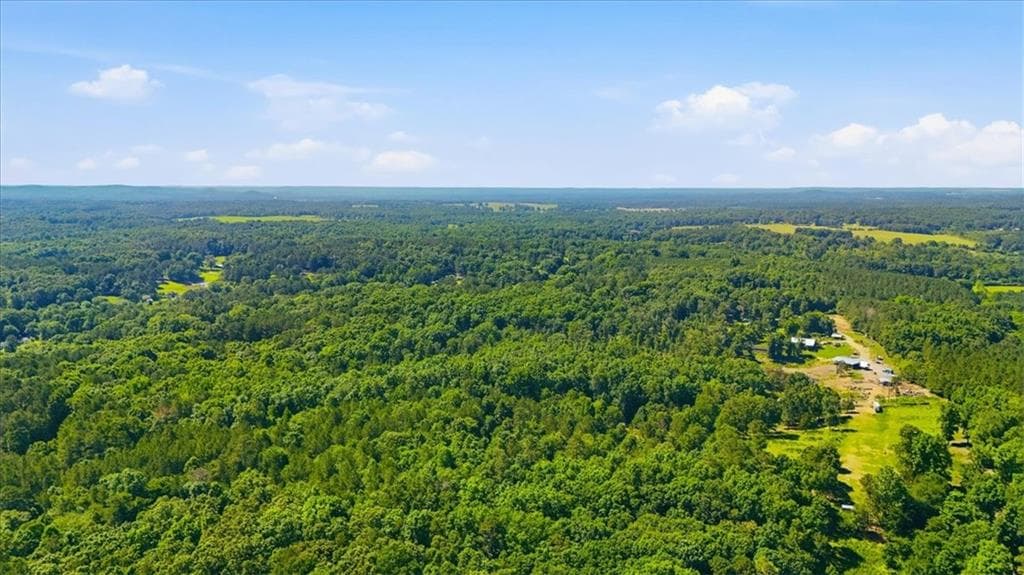 unimproved land for sale at 0 Williams Road, Silver Creek, GA 30173 — photo 7