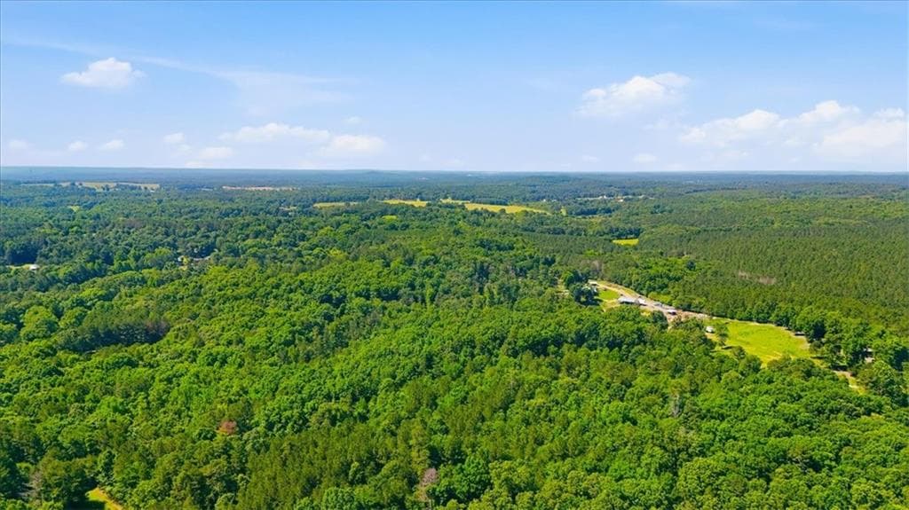 unimproved land for sale at 0 Williams Road, Silver Creek, GA 30173 — photo 8