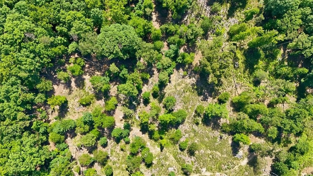 unimproved land for sale at 0 Williams Road, Silver Creek, GA 30173 — photo 9