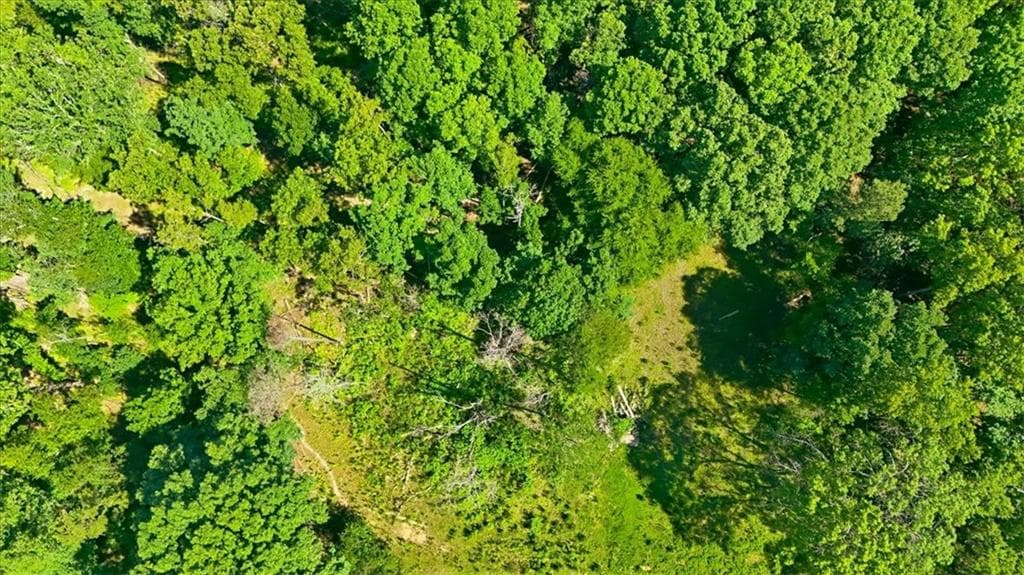 unimproved land for sale at 0 Williams Road, Silver Creek, GA 30173 — photo 10