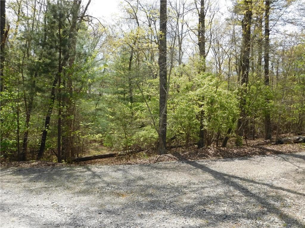 single family residence for sale at 0 Dallas Lane, Blue Ridge, GA 30513 — photo 5