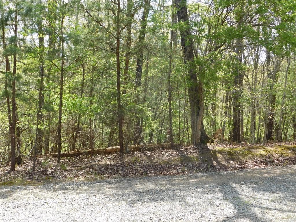 single family residence for sale at 0 Dallas Lane, Blue Ridge, GA 30513 — photo 6