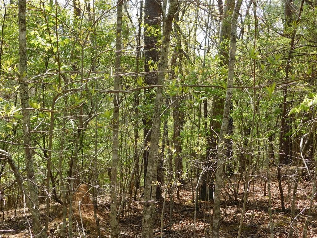 single family residence for sale at 0 Dallas Lane, Blue Ridge, GA 30513 — photo 7