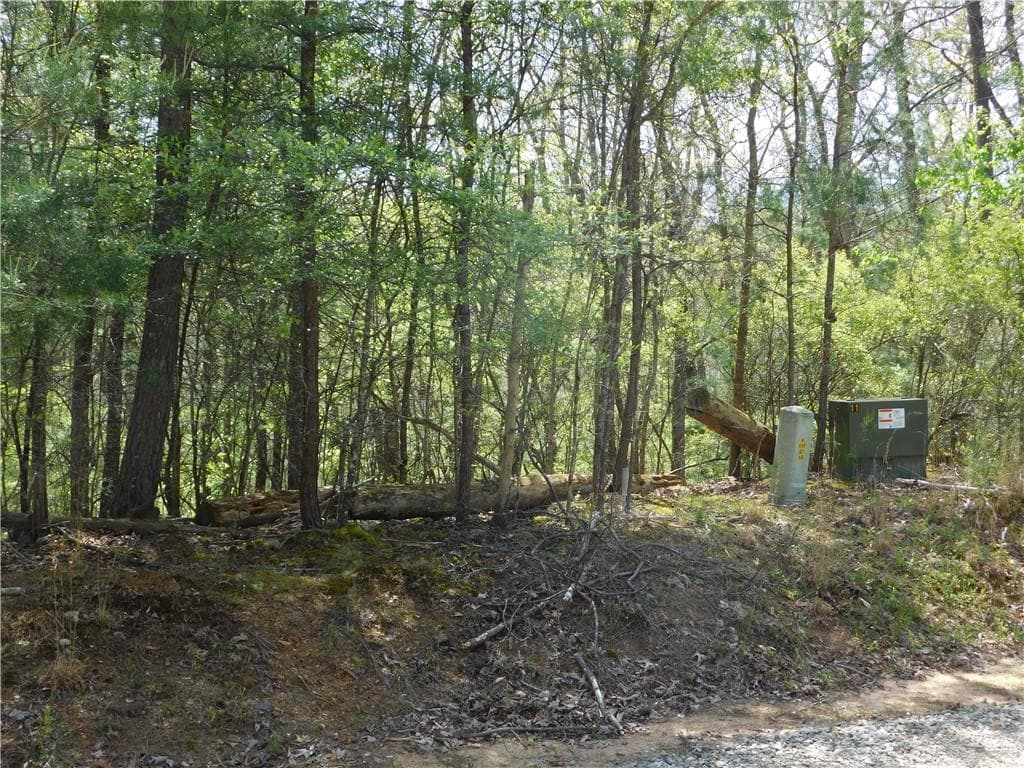 single family residence for sale at 0 Dallas Lane, Blue Ridge, GA 30513 — photo 8