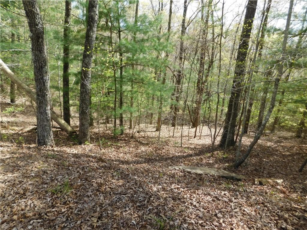 single family residence for sale at 0 Dallas Lane, Blue Ridge, GA 30513 — photo 10