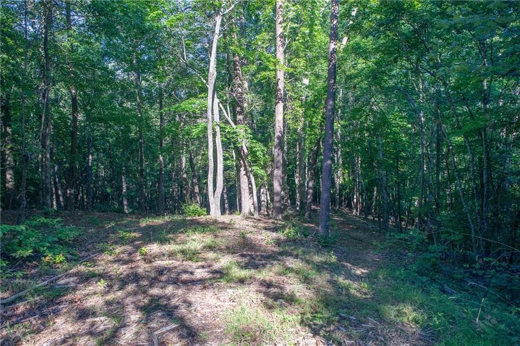 other under contract at 0 Kerns Ridge Court, Dawsonville, GA 30534 — photo 3
