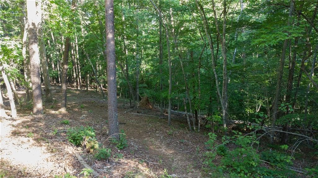 other under contract at 0 Kerns Ridge Court, Dawsonville, GA 30534 — photo 6