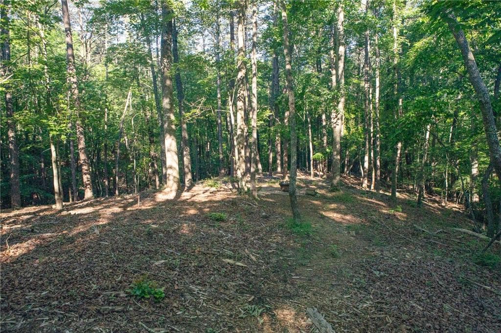 other under contract at 0 Kerns Ridge Court, Dawsonville, GA 30534 — photo 7