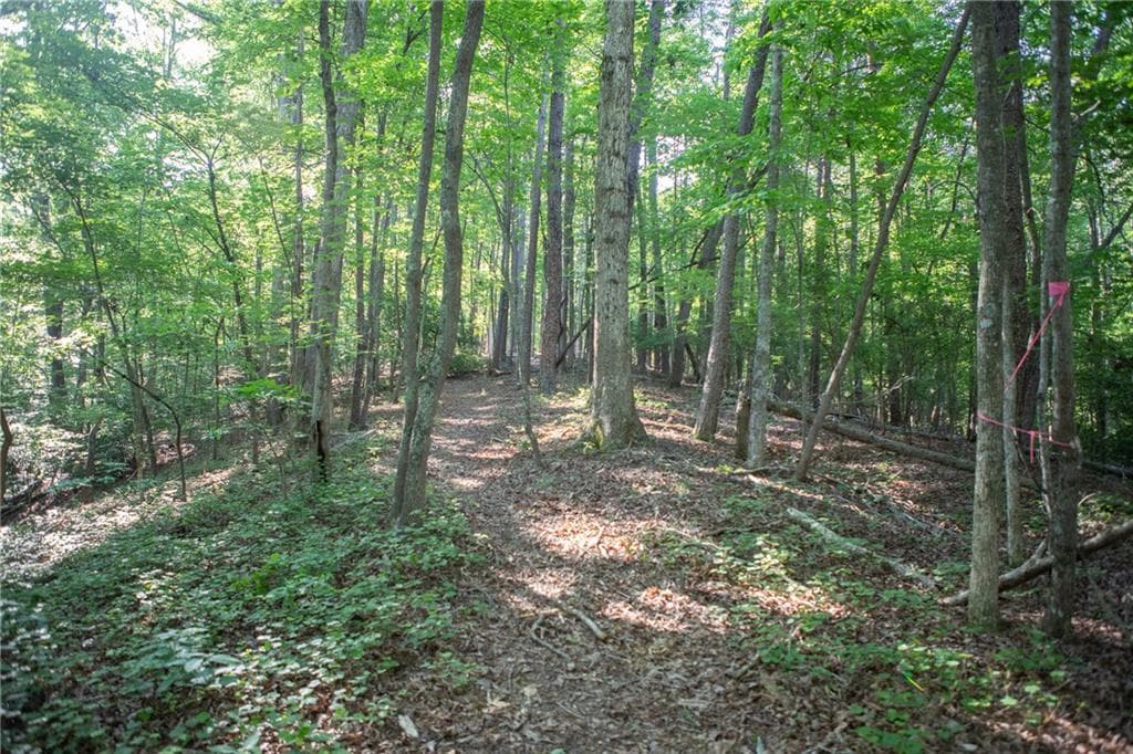 other under contract at 0 Kerns Ridge Court, Dawsonville, GA 30534 — photo 8