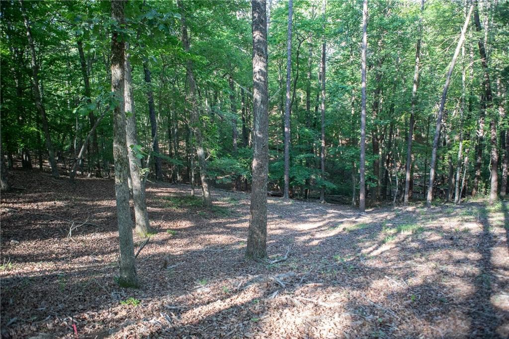 other under contract at 0 Kerns Ridge Court, Dawsonville, GA 30534 — photo 9