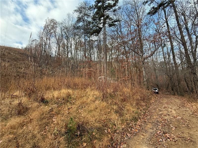 unimproved land for sale at 0 Falling Pines Road, Dahlonega, GA 30533 — photo 2
