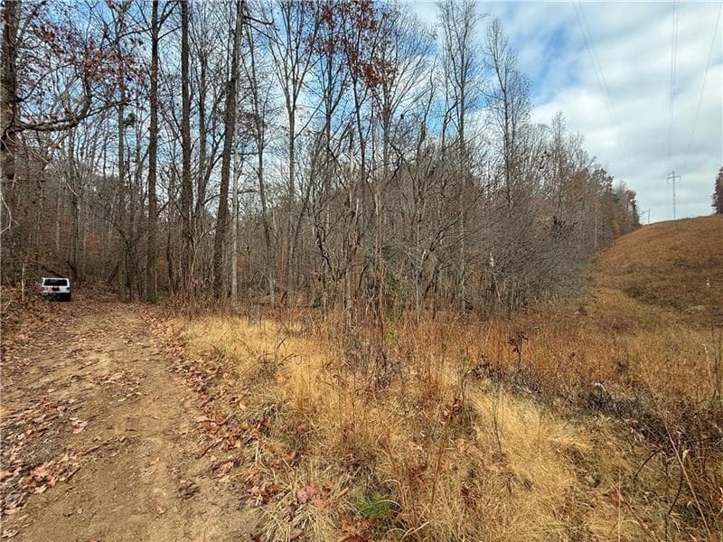 unimproved land for sale at 0 Falling Pines Road, Dahlonega, GA 30533 — photo 3