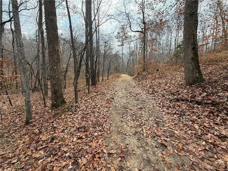 unimproved land for sale at 0 Falling Pines Road, Dahlonega, GA 30533 — photo 4