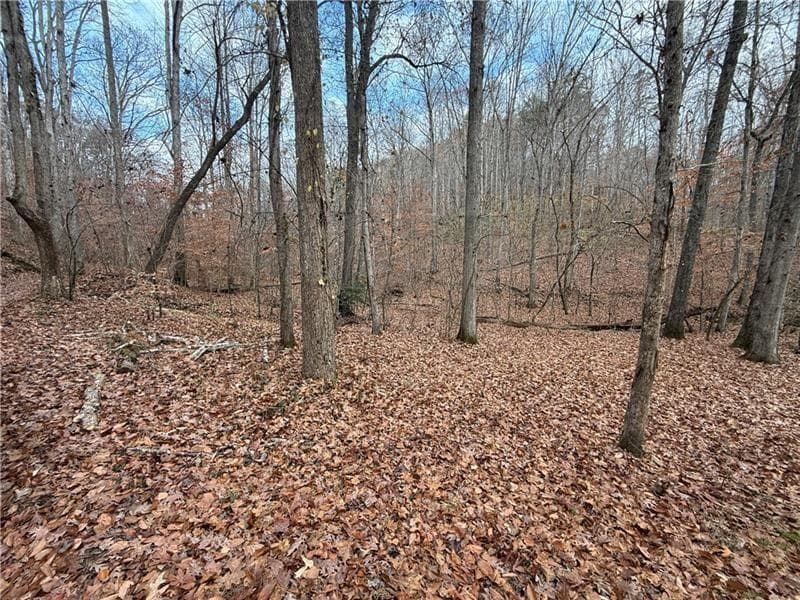 unimproved land for sale at 0 Falling Pines Road, Dahlonega, GA 30533 — photo 5